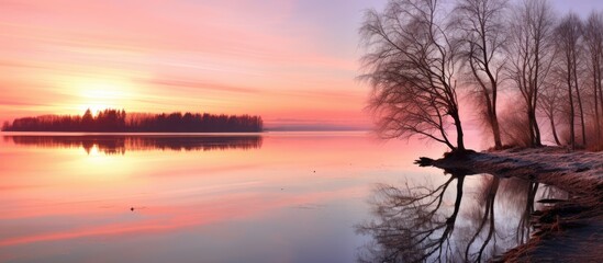 The scene of calm water and reflections from trees and sky at sunrise in early winter is a beautiful and serene sight. The pink colored sky serves as a background and offers space for text or copy.