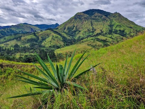 Morobe Province in Papua New Guinee landscape 