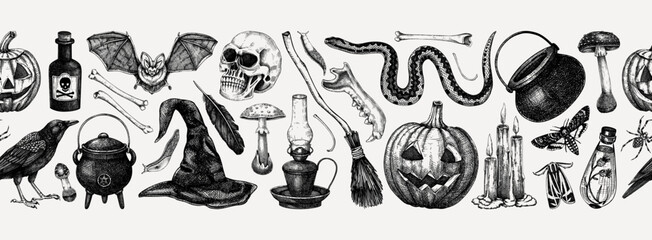 Vintage Halloween vector border. Skull, bones, pumpkin, poisonous mushrooms, snakes, raven sketches. Hand drawn witchcraft background. Seamless pattern for magic design, decoration, print - 632100311