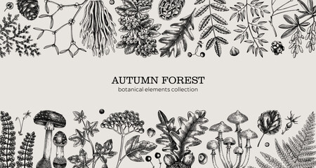Hand drawn autumn forest background. Vintage banner with ferns, mushrooms, fall leaves and autumn plant sketches. Botanical design template in engraved style for print. Vector illustration - 632100916