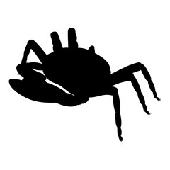 crab
