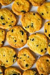 Italian style round shortbread cookies with black olives and Parmesan cheese