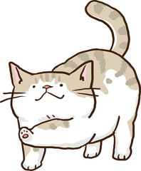 Cute Cartoon Cat Character