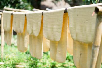 Rubber sheets dry The raw rubber latex is made of acid, which makes it first and then rolled flat to dry. Rubber sheet is a raw material for many industrial production. as background with copy space.