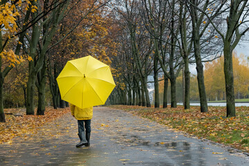 Child walking with yellow umbrella in autumn rainy park. Back view. Fallen leaves background.