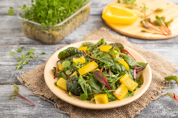Vegetarian salad of yellow pepper, beet microgreen sprouts on gray. Side view, selective focus.