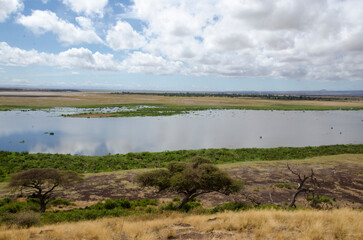 parc national d'Amboseli, Kenya, Afrique de l'Est