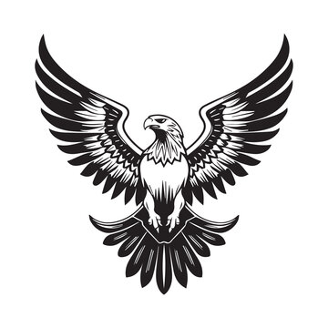 recommend clip art: Eagle, hawk, falcon emblem with spread wings, heraldic symbol, bird, predator, wild animal, design,