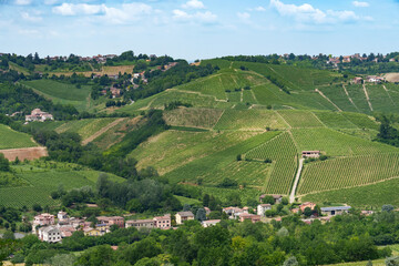 Hills of Oltrepo Pavese at June. Vineyards