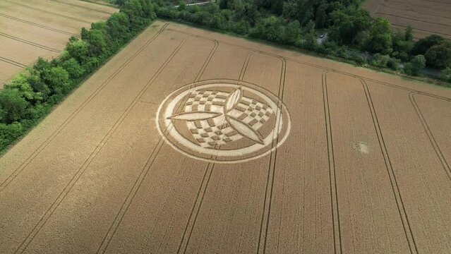Looking down over South Wonston trinity crop circle vandalism aerial view orbiting windy Hampshire golden wheat field