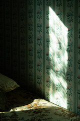 A streak of sunlight from a window on floral wallpaper in an old country house.