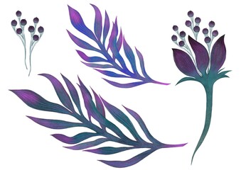 Illustration watercolour decorative elements tropical flower  with seeds and leaves on the white background.