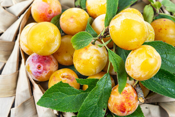 prunes mirabelles