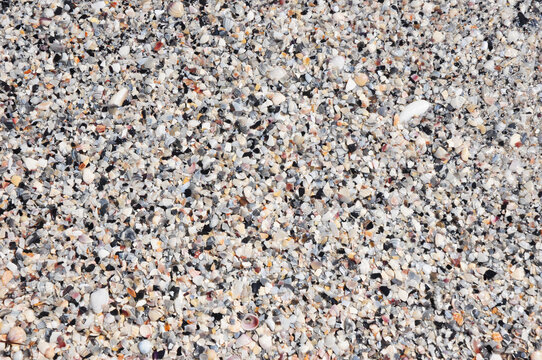 Underwater seashore sorrounded with large and small multi-coloured seashells and blue water of the sea.  Colorful beach seashells texture with clear sea water.