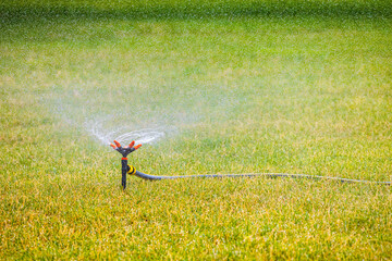 Obraz na płótnie Canvas automatic lawn watering system watering the grass