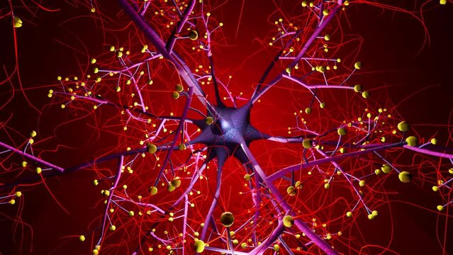 A close-up view of the complex, interconnected network of neurons that make up the human brain and nervous system.