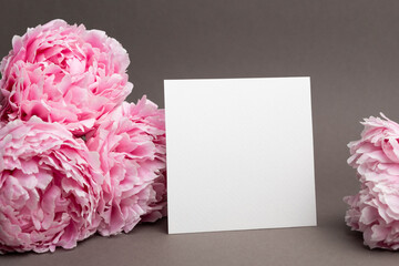 Blank square card mockup with fresh peony flowers, card with copy space