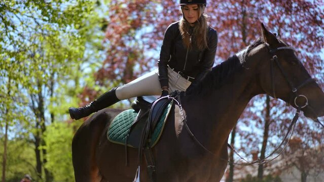 Slim beautiful female equestrian mounting graceful brown horse on sunny day outdoors. Portrait of confident gorgeous Caucasian young woman saddling up purebred stallion in paddock training - Powered by Adobe