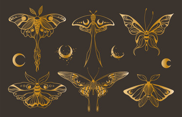 Mystical celestial moth and butterfly clipart bundle in golden foil texture, magic golden colored insects silhouettes in vector, unreal hand drawn night moth, isolated elements set - obrazy, fototapety, plakaty