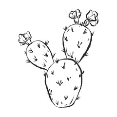 Hand drawn black color blooming cactus