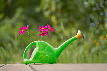 Green garden watering can with bouquet of red flowers on wooden surface on blurred green garden background. © ROMAN DZIUBALO