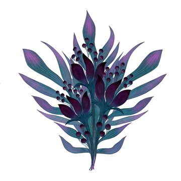  Illustration watercolour boutique of tropical flowers with leaves and berries on the white background.