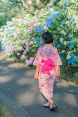 紫陽花と浴衣の少女