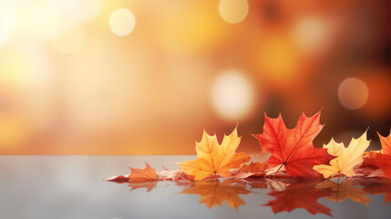 Naklejka na ściany i meble Banner design for autumn season. Fall orange maples on blurred bokeh background. 