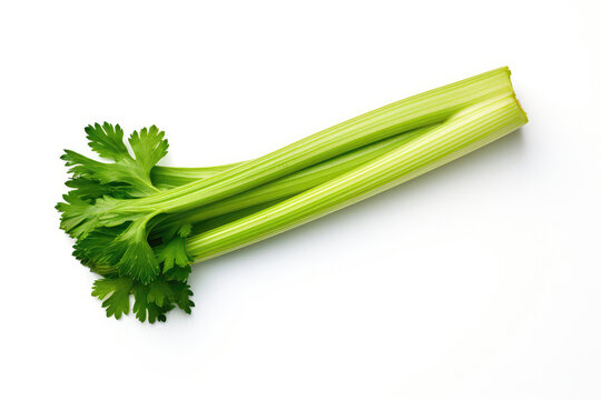 Green Celery Closeup On White Background