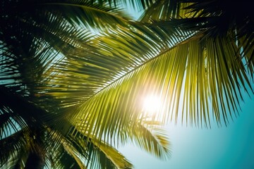 Tropical Sunrays: Palm Paradise