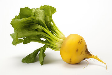 Yellow Beet Closeup On White Background