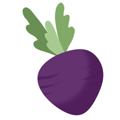 eggplant