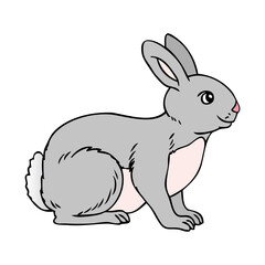rabbit vector illustration,isolated on white background,top view
