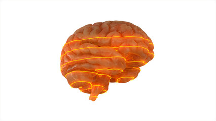 Brain Scan