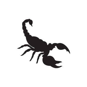 scorpion icon vector on a white background