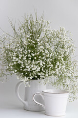 Bouquet of gypsophila flowers in a vase, white background