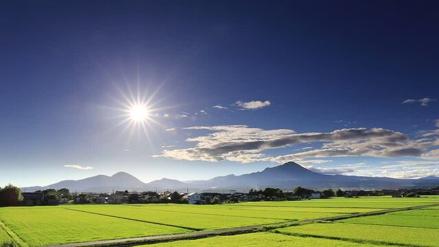 青空の下の鳥取県の伯耆大山と稲の緑が美しい夏の田園風景