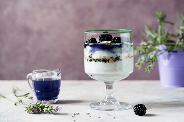 Fototapeta na wymiar Yogurt dessert with lavender flavour, blackberries and muesli in a glass cup, lavender syrup In a jug, lavender branches over grey concrete background
