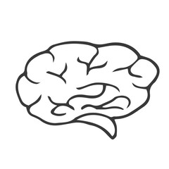 hand drawn doodle brain icon illustration vector