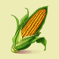 Ripe head corn in a green husk. Colored vector illustration.