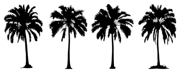 palm tree silhouette illustration set isolated on white, decorative element for poster, banner and background