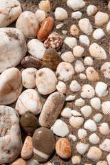 Coast. shell on the sand. sea ​​shell. sand. beach. island. tropics. ocean. sea. sea ​​shore. wave. background. texture. nature. stones on the seashore. sea stones. seascape. scenery. clam.