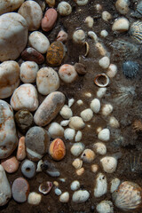 Coast. shell on the sand. sea ​​shell. sand. beach. island. tropics. ocean. sea. sea ​​shore. wave. background. texture. nature. stones on the seashore. sea stones. seascape. scenery. clam.