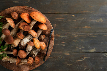 Porcini mushroom or mushroom an orange-cap boletus on old dark rustic wooden table backgrounds. Organic forest food. Autumn harvest concept. Edible fresh picked mushroom. Copy space. Top view.