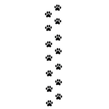 Cat footprint line. Vector illustration isolated on white background.