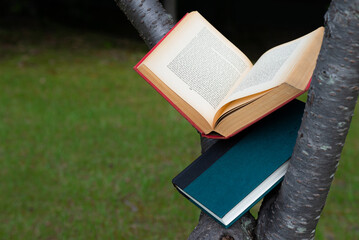 木の上に置かれた本