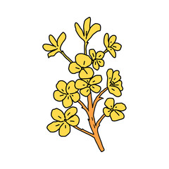 garden plant element, hand drawn style