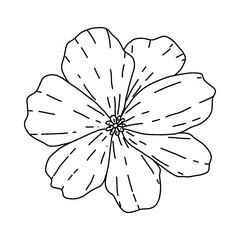 Fototapeta premium garden plant element, hand drawn style