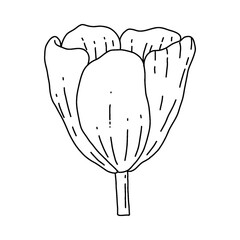 garden plant element, hand drawn style