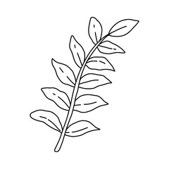garden plant element, hand drawn style
